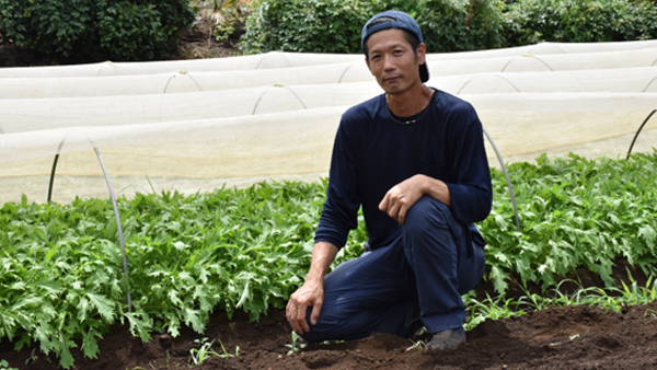 みず菜を生産する塩﨑稔さん