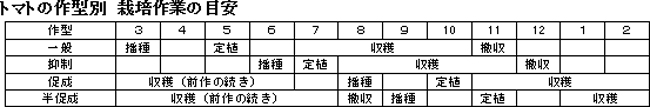 トマトの作型別　栽培作業の目安