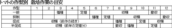 トマトの作型別　栽培作業の目安