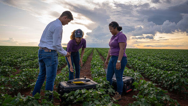 ブラジルで「xarvio Agro Experts」プログラム開始　デジタル農業技術の普及を拡大　BASF