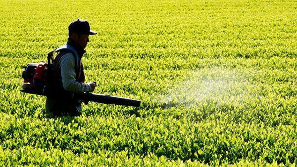 みどり戦略に対応した防除戦略（7）移植期に使用する水稲除草剤【防除学習帖】第213回