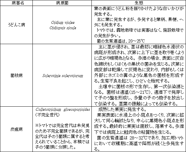 トマトに発生する子のう菌類病