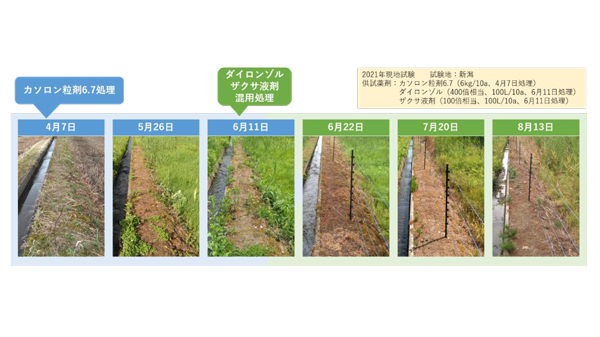 電気柵の漏電防止は除草がカギ　C-DZ作戦で省力的に！　北興化学工業.jpg