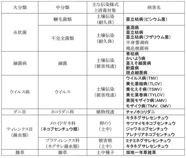 １．	土壌消毒剤の防除対象となる主なトマト土壌病害虫