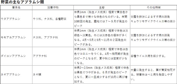 野菜の主なアブラムシ類