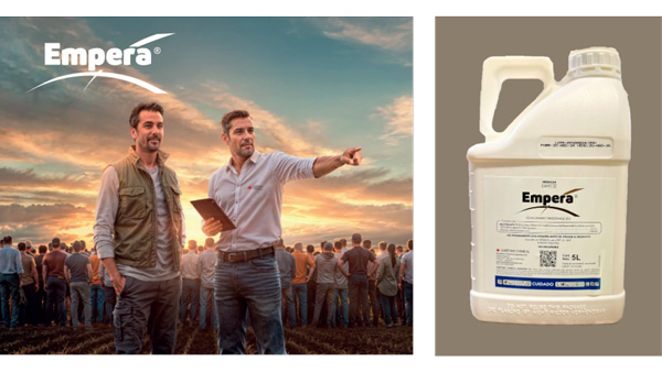 除草剤「ラピディシル」2025年日経優秀製品・サービス賞　グローバル部門賞を受賞　住友化学