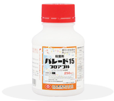 パレード15フロアブル