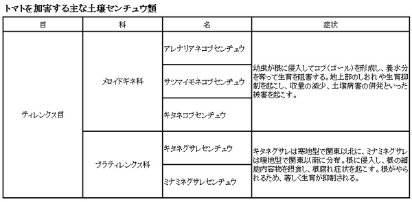 トマトを加害する主な土壌センチュウ類