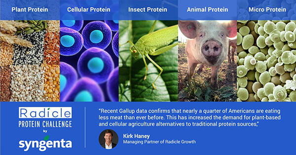 The　Radicle　Protein　Challenge　by　Syngenta