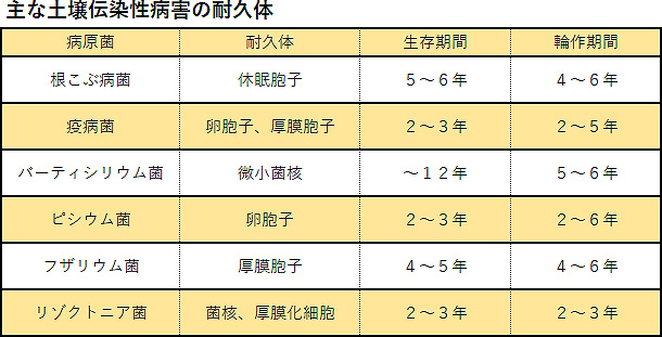 主な土壌伝染性病害の耐久体