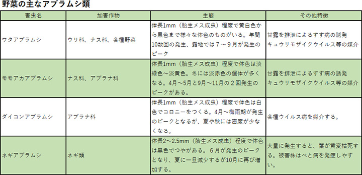 野菜の主なアブラムシ類