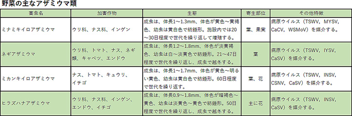 野菜の害虫防除2 防除学習帖 第67回 防除学習帖 シリーズ 農薬 Jacom 農業協同組合新聞