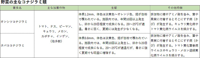 野菜の主なコナジラミ類