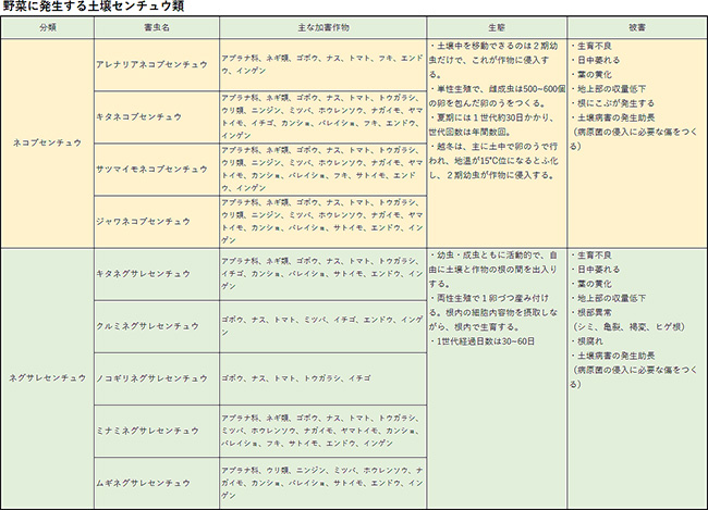 野菜に発生する土壌センチュウ類