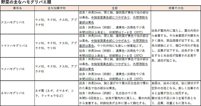 野菜の主なハモグリバエ類