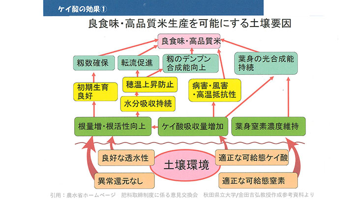 土づくり特集・肥料取締法を改正　地力の回復へ（１）　デンカ（株）技術顧問　吉田吉明・技術士【現場で役立つ農薬の基礎知識2020】