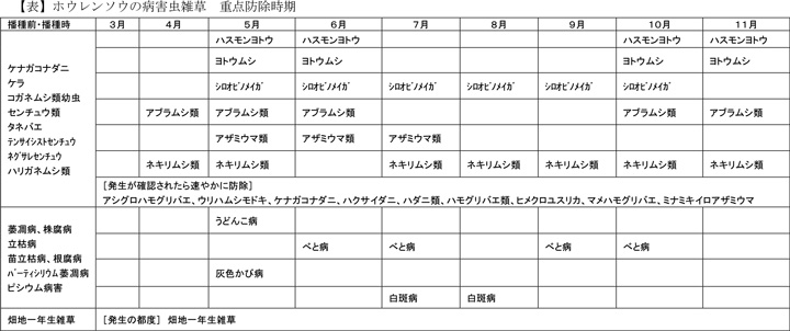 【表】ホウレンソウの病害虫雑草　重点防除時期