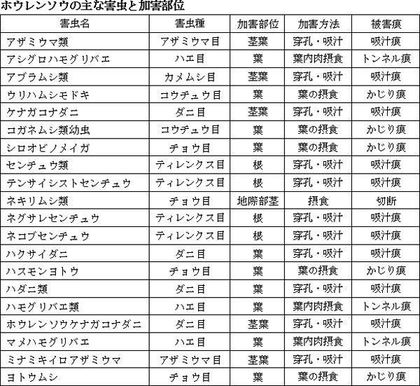 ホウレンソウの主な害虫と加害部位