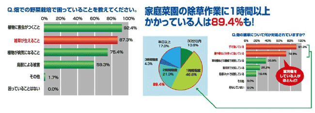 畑で使える除草剤「グリーンスキットシャワー」発売　住友化学　グラフ