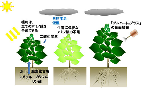 散布イメージ図