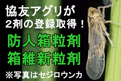 新規ウンカ剤ピラキサルト含有の2箱剤の登録取得　協友アグリ