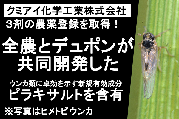 クミアイ化学工業株式会社が３剤の農薬登録を取得！　全農とデュポンが共同開発したウンカ類に卓効を示す新規有効成分ピラキサルトを含有　※写真はヒメトビウンカ