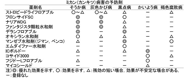 表