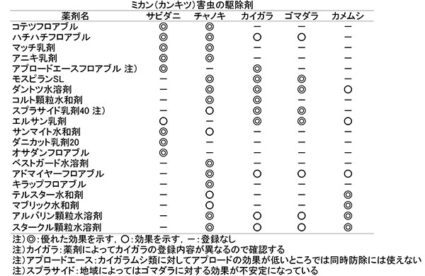 最重要時期は被害を受けやすい5 6月 ミカンの病害虫防除のポイント 現場で役立つ農薬の基礎知識 17 シリーズ 農薬 Jacom 農業協同組合新聞