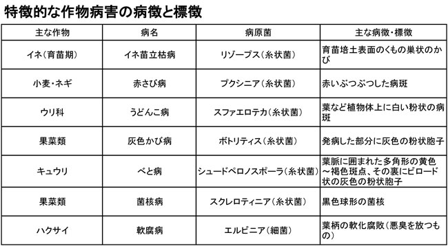 特徴的な作物病害の病徴と標徴