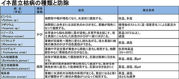 イネ立ち枯れ病