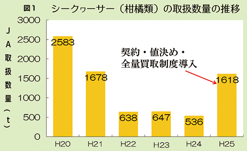 シークヮーサー（柑橘類）の取扱数量の推移