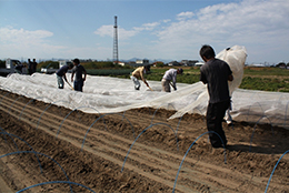 農協の力で耕作放棄地を解消