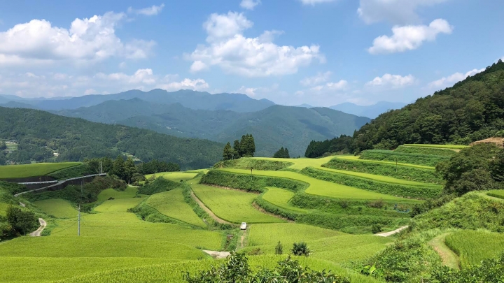 日本酒製造に密接な微生物を研究「土佐酒造研究所」新設　土佐酒造