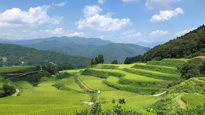 土佐嶺北地方の棚田