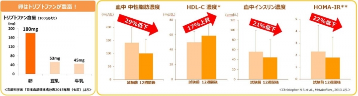 グラフ1：100グラムあたりのトリプトファン含量（左）  グラフ2：卵の摂取によるメタボ指標の改善