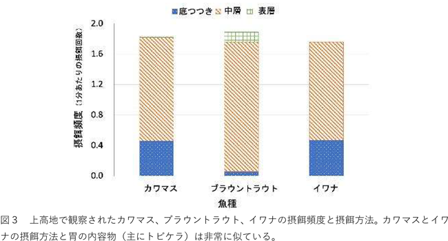 図3：上高地で観察されたカワマス、ブラウントラウト、イワナの摂餌頻度と摂餌方法。カワマスとイワナの摂餌方法と胃の内容物（主にトビケラ）は非常に似ている