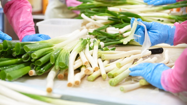 デリカフーズの野菜カット工場