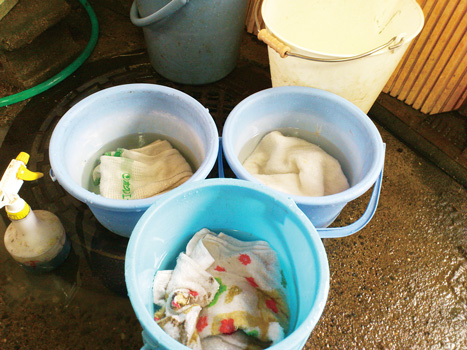 タオルは約1か月洗って繰り返し使い交換。1週間で10～15枚を消費する