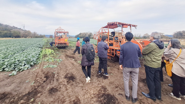 ホウレンソウの生産現場を確認