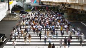 人流が戻り、店内飲食は回復もインフレに直面　外食産業市場動向調査10月度