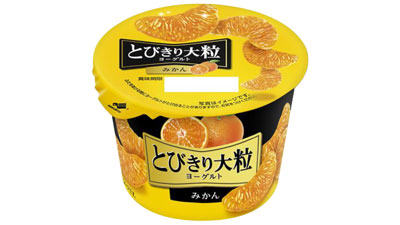季節限定「とびきり大粒ヨーグルト-みかん」新発売　北海道乳業s.jpg