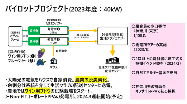 ソーラーシェアリングでワイン用ブドウの試験栽培　相模原市で新プロジェクト開始　さがみこファーム　概要