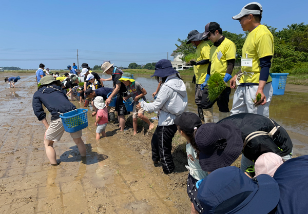 生産者のレクチャーで田植え開始