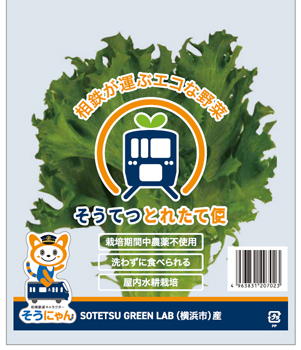 相鉄ブランド野菜「そうてつとれたて便」販売開始「貨客混載」輸送も実施