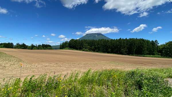 北海道倶知安町の作付け予定地（2023年6月撮影）