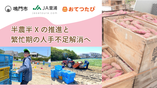 鳴門市、ＪＡ里浦と連携「なると金時」収穫で「半農半X」推進　おてつたび