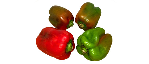 もみじ色ピーマン