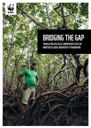 WWF報告書『ギャップを埋める：政治的コミットメントを野心的な生物多様性枠組へ』