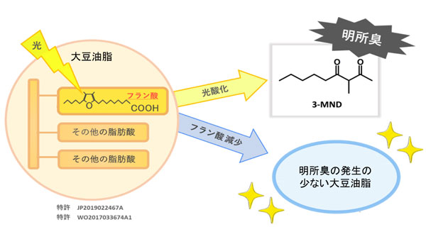 大豆油の課題　光酸化で発生する「明所臭」原因遺伝子を発見　J-オイルミルズ