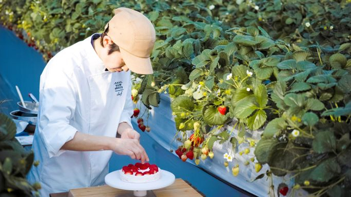 フードロス削減へ　川崎市のいちご農園が直営パティスリー開店　SlowFarm